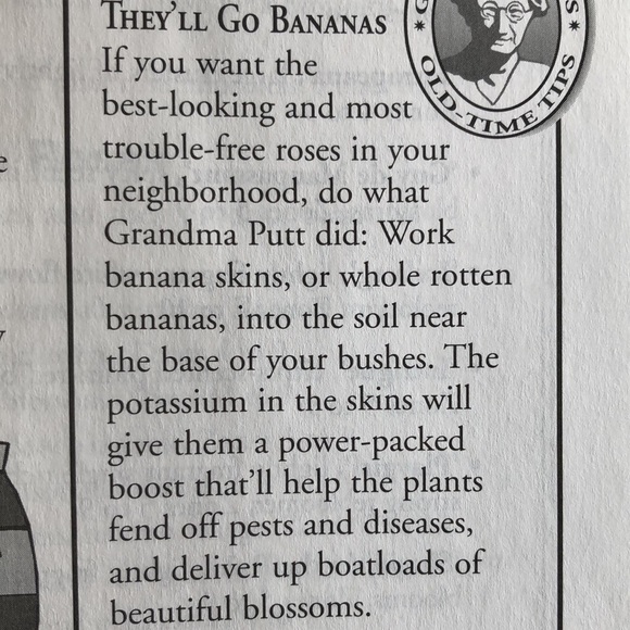 Natural Solutions to Problems in Garden! - Picture 12 of 14